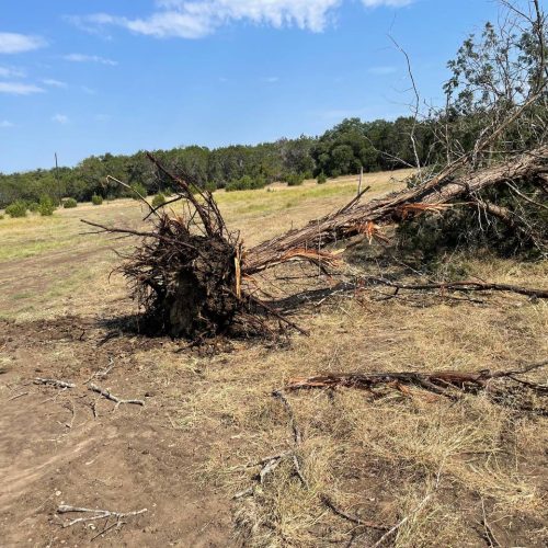 photo_2024-10-24_12-16-28