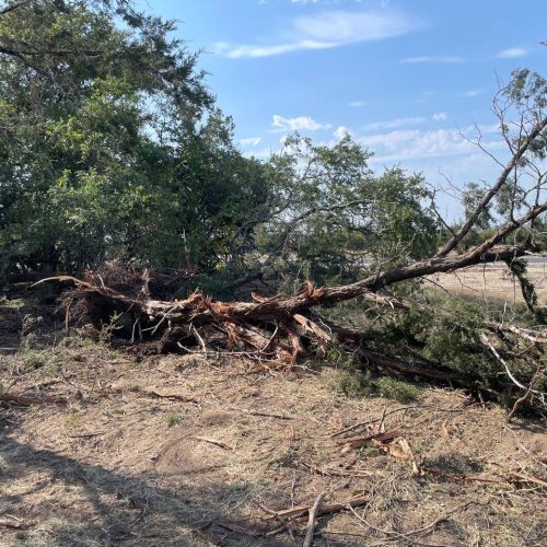 photo_2024-10-24_12-16-30